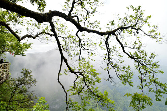 张家界天门山风景名胜