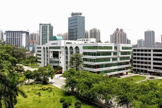 城市中绿意环绕的现代建筑