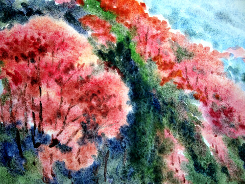 井冈山红杜鹃