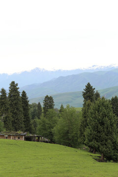 山间绿野