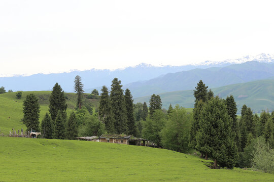 青山绿野间的静谧小屋