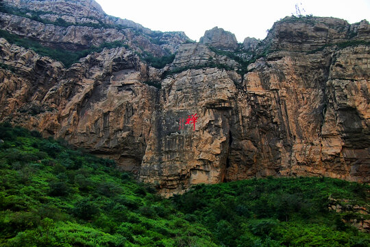 峻峭山崖下的葱郁绿意