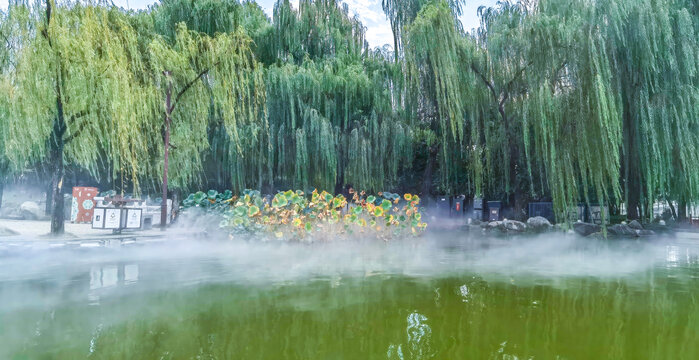 大唐芙蓉园芙蓉湖
