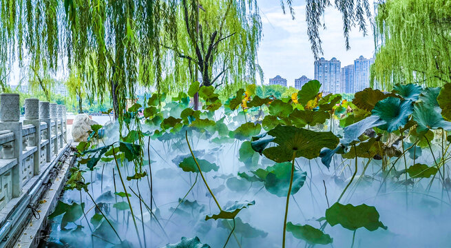 大唐芙蓉园风光