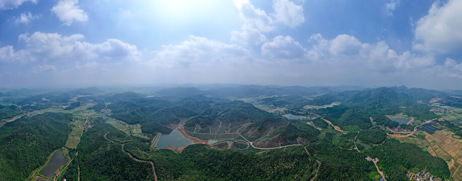 山谷里的蓝莓基地