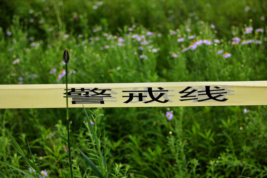 草地上的警戒线标识