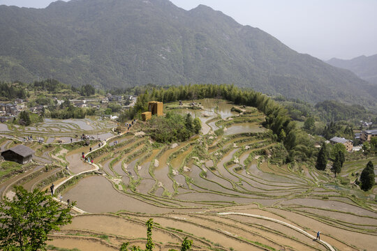 美丽壮观的山间梯田风光