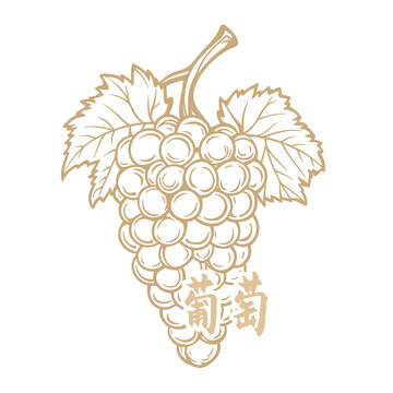 手绘简约风葡萄图案