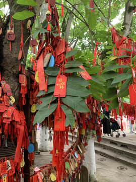 树上挂满祈福许愿牌