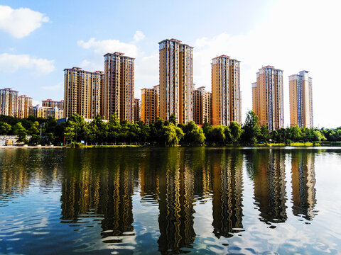 夏天公园风景