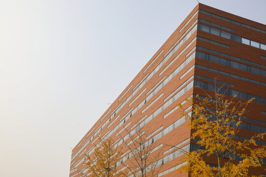 大学校园建筑