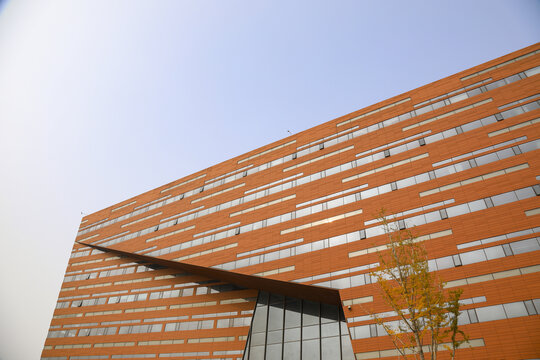大学校园建筑