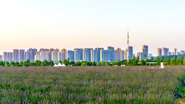 夕阳中紫兮庄园