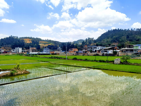田园