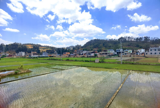 乡村生活