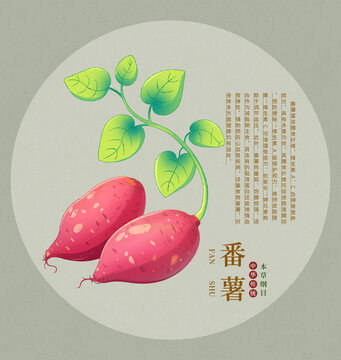 手绘番薯插画素材