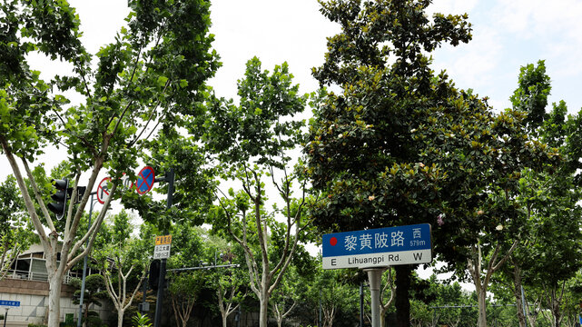 黎黄陂路