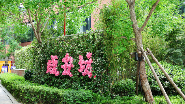武汉绿化