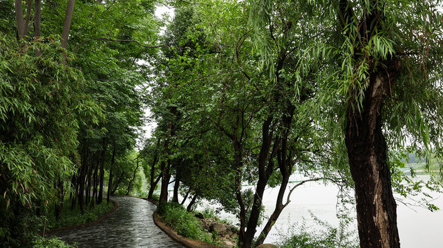 武汉东湖落雁景区