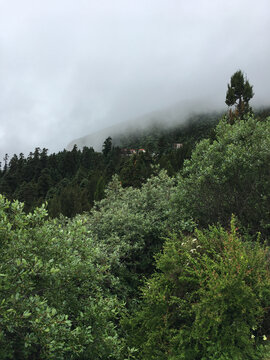 西藏林芝色季拉山口鲁朗林海云雾缭绕