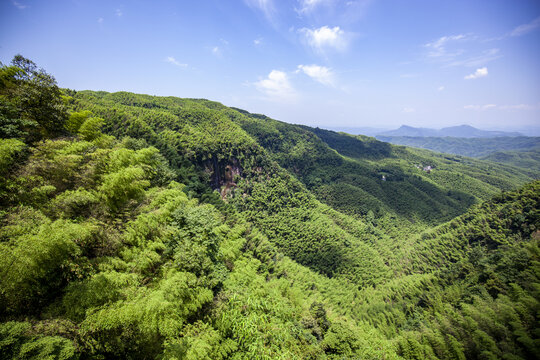 俯瞰蜀南竹海