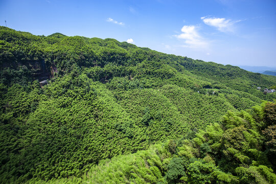 俯瞰蜀南竹海