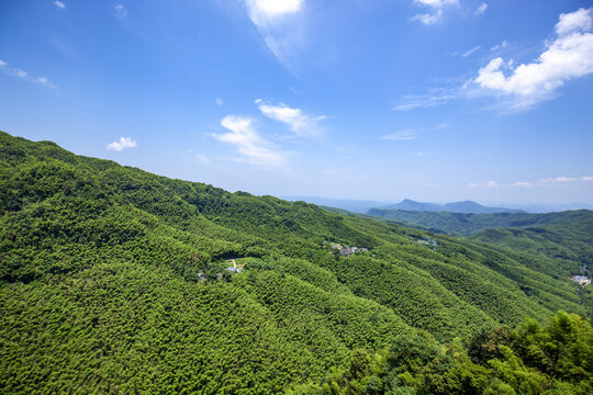 蜀南竹海全景