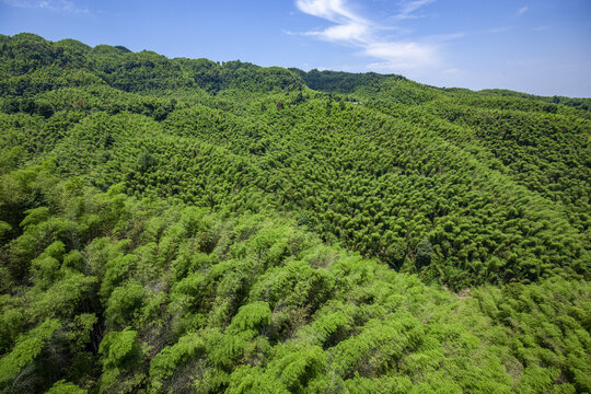 俯瞰蜀南竹海