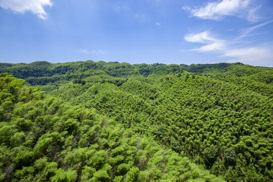 蜀南竹海全景