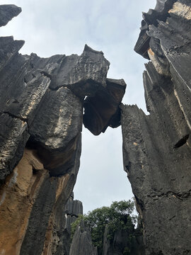 云南石林独特岩石景观