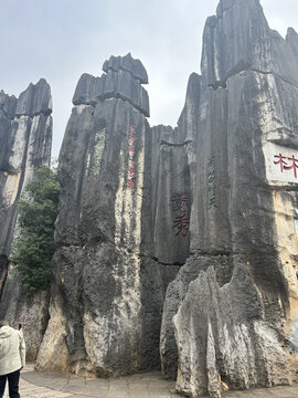 云南石林壮观岩石景观