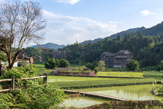 春天乡村风光