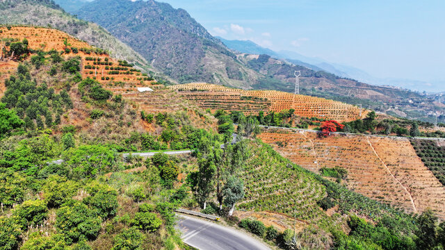 山间公路旁的多彩梯田风光