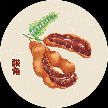 手绘酸角包装插画