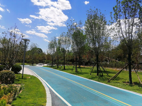 公园步道