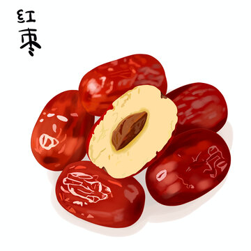 红枣枣子手绘插画