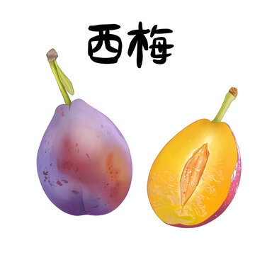 新疆法兰西梅水果包装手绘插画切开的西梅