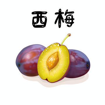切开的西梅新疆法兰西梅水果包装手绘插画