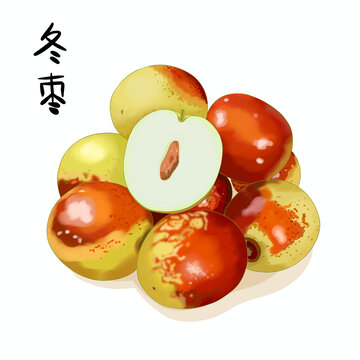 切开冬枣子脆冬枣冬枣包装采摘插画手绘