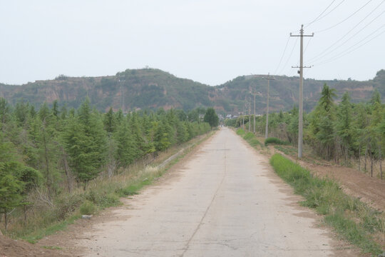 乡间林荫水泥路远山风光