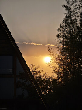 夕阳下的房屋与树木剪影