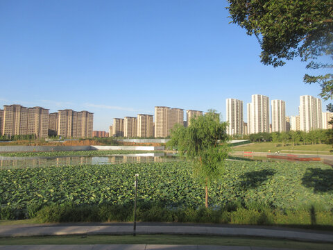 公园景观
