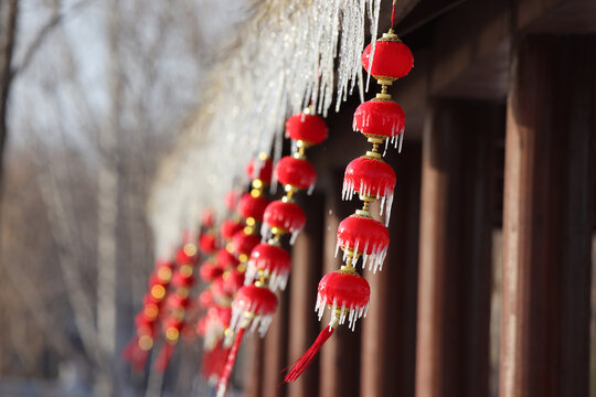 冰挂下的串串红灯笼
