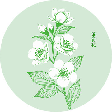 清新手绘风茉莉花图案矢量分层素材