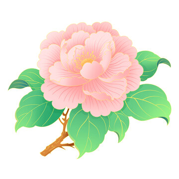 国潮插画风格粉色娇艳盛开的牡丹花