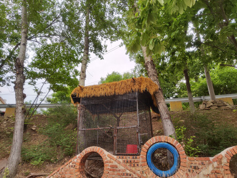 林间的简易动物小屋