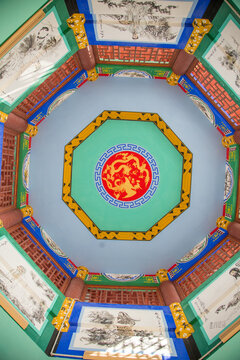 特克斯县八卦公园
