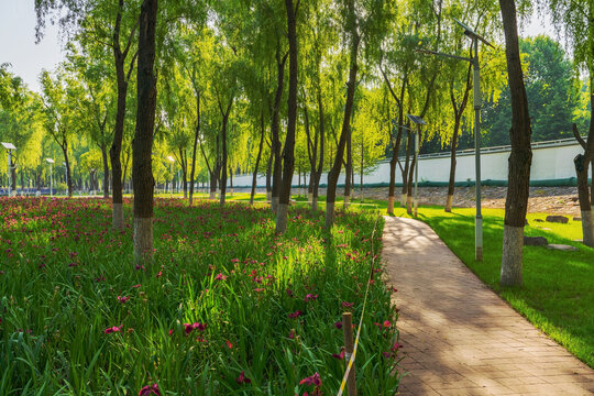 南京大桥公园的绿植和步道和自然风光