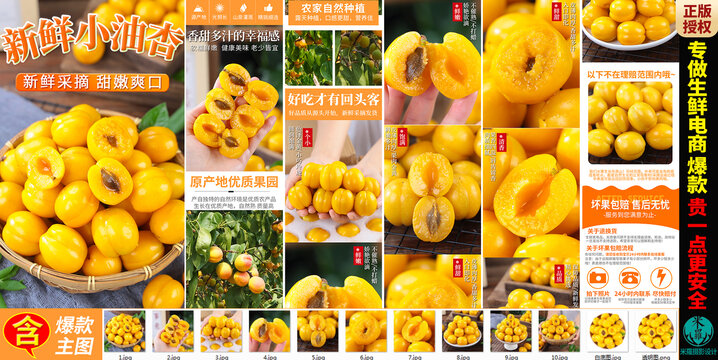 珍珠小白杏详情页