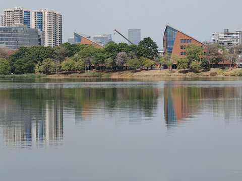 湖畔城市风光